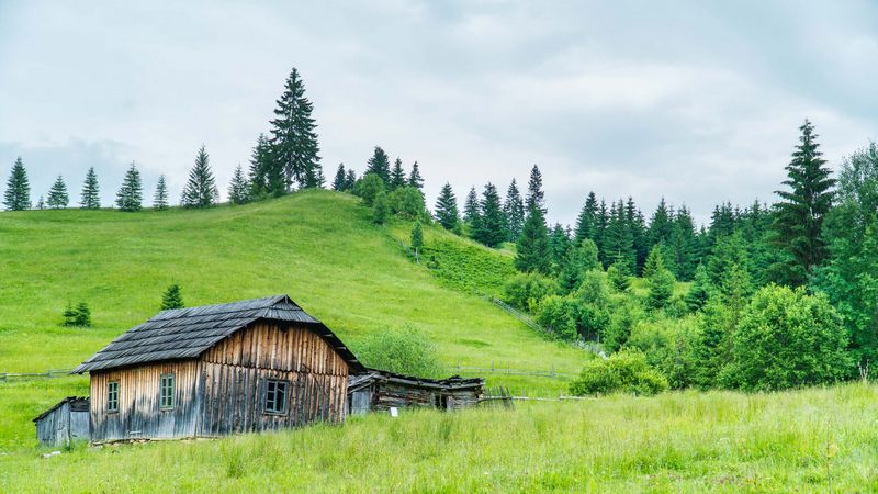 Bucovina